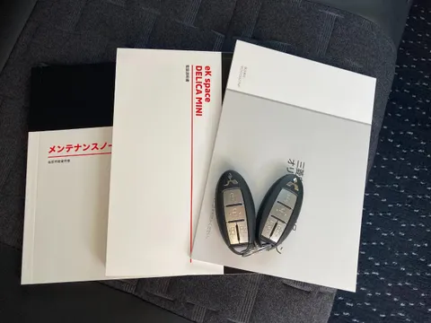 Mitsubishi Delica Mini