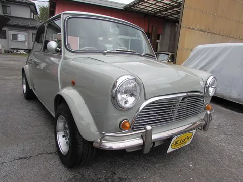 Rover Mini