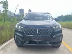 Wey VV6