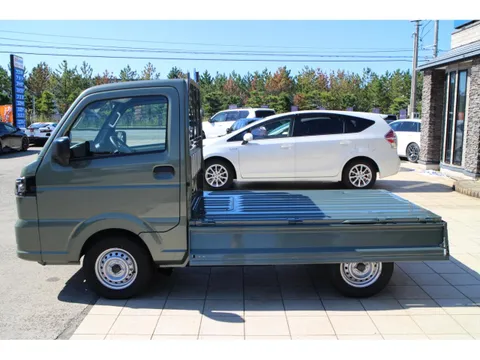 Suzuki Carry Track