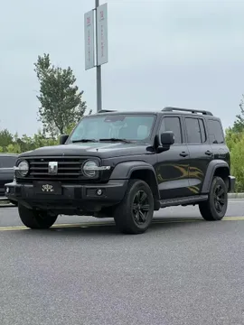Tank 300