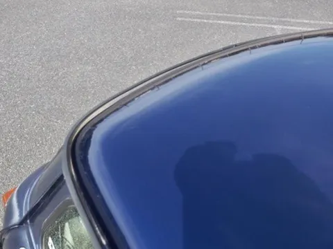 Rover Mini