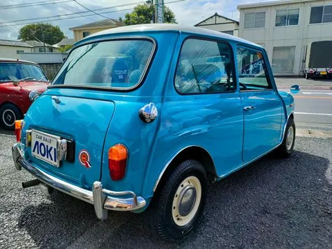 Rover Mini