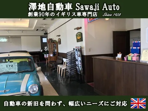 Rover Mini