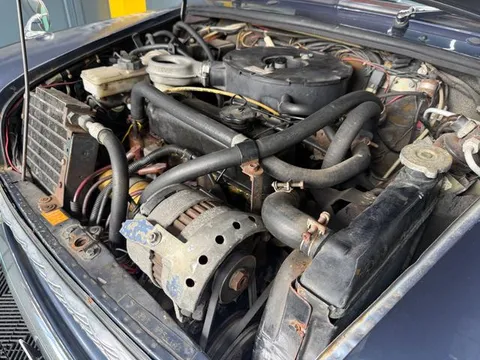 Rover Mini