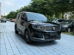 Forthing SX6