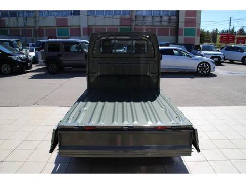 Suzuki Carry Track