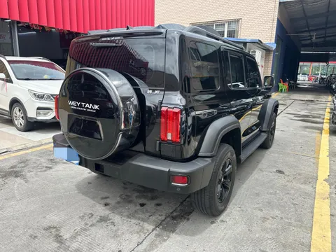 Tank 300