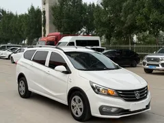Baojun 310W