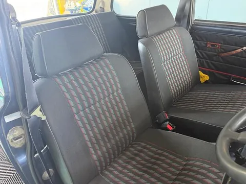 Rover Mini