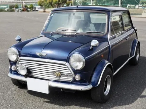 Rover Mini