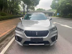Wey VV7