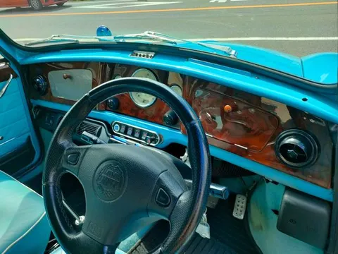 Rover Mini