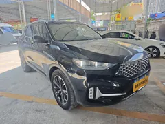 Wey VV6
