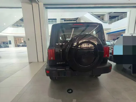 Tank 300