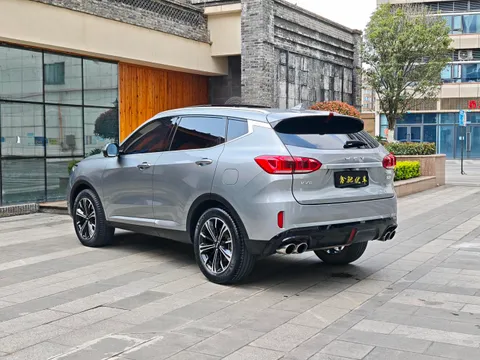 Wey VV6
