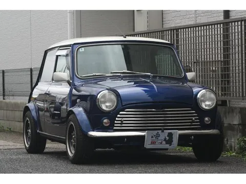Rover Mini