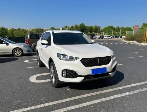 Wey VV6