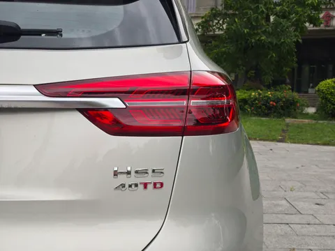 Hongqi HS5