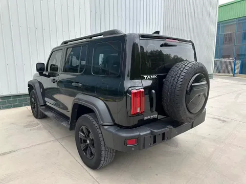 Tank 300