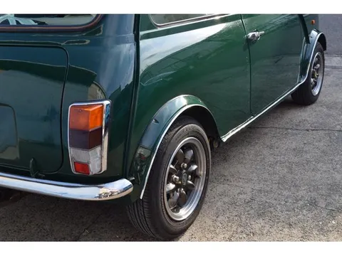 Rover Mini