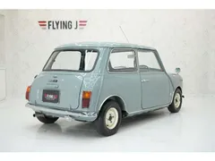 BL Mini