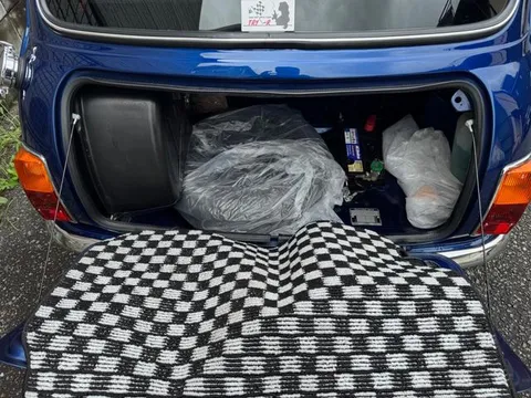 Rover Mini