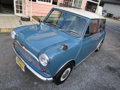 Rover Mini