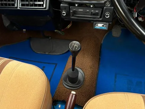Rover Mini