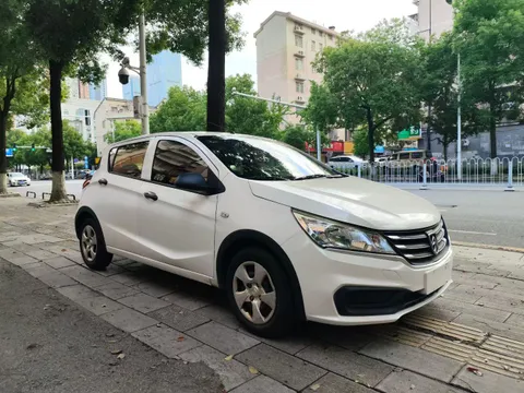 Baojun 310