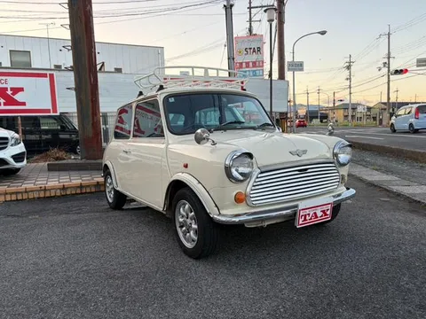 Rover Mini