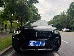 Wey VV5