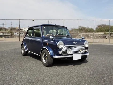 Rover Mini