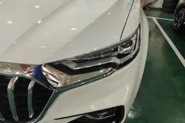 Hongqi HS5