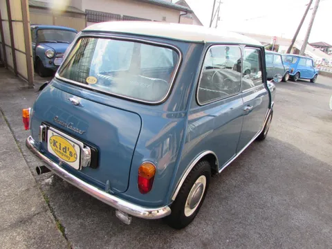 Rover Mini