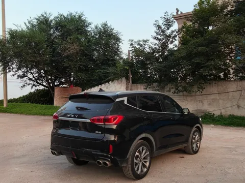 Wey VV6