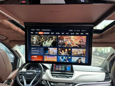 Maxus G20