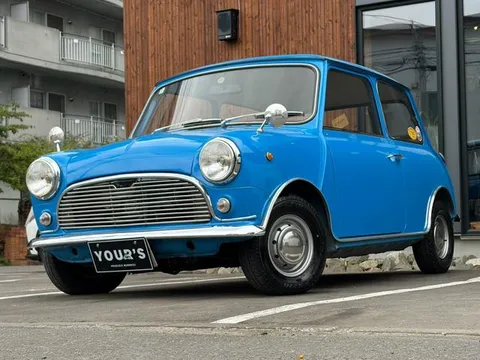 Rover Mini