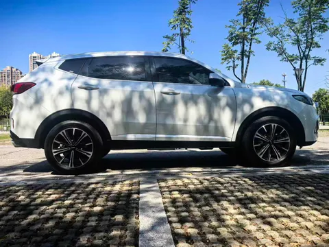 Wey VV6