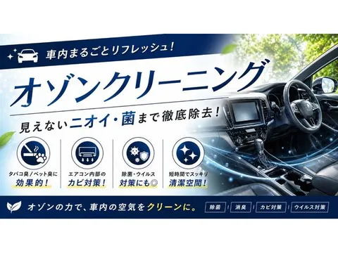 Mazda Flair Wagon Custom Styel