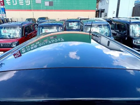 Toyota Pixis Mega