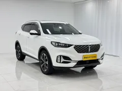 Wey VV6