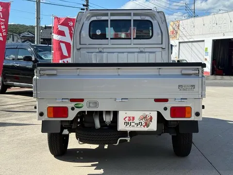 Suzuki Carry Track