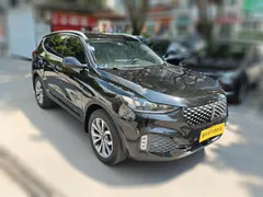 Wey VV6