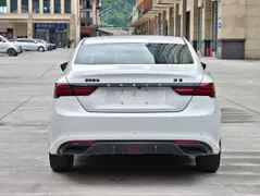 Geely Binrui
