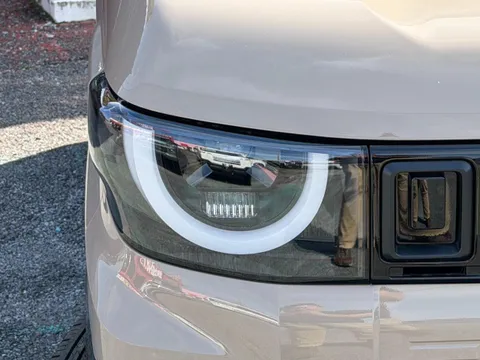 Mitsubishi Delica Mini
