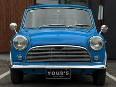 Rover Mini