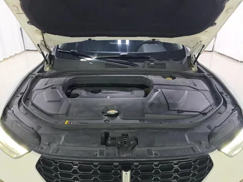 Wey VV5
