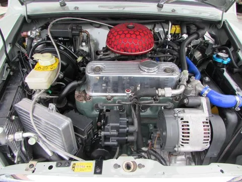 Rover Mini