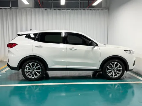 Wey VV6